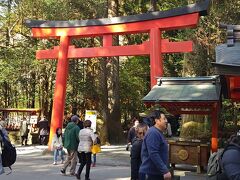 続いて箱根神社へ。