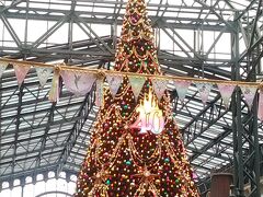 ディズニー クリスマス（東京ディズニーランド）