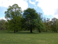 樹木が多かった Greenwich Park