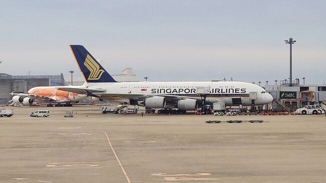 ripiさん用! シンガポール航空／+オレンジほぬ