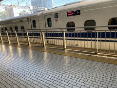 レンタカーが静岡返しだったので、又高速で2時間掛けて静岡駅に戻り、新幹線に乗り、帰宅します。