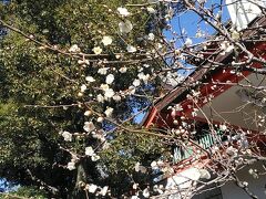 天神さまと言えば梅ですね、梅も綺麗に咲いてます

次はユニークな外観の千葉市美術館へ向かいます