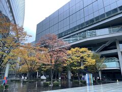 ＜東京国際フォーラム＞

ラストは11月最終日曜。
東京国際フォーラムにあるブルックリンカフェ。