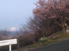 西山休憩所で富士山と相模湾の朝焼けを見る