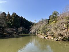 しかし1月後半は花がないから歩いている人も少ない新勝寺の庭。