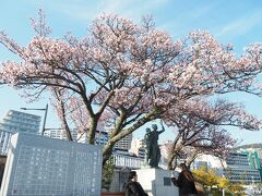 熱海　渚親水公園にある釜鳴屋平七像とあたみ桜

早咲きのあたみ桜の中でもここの桜が一番早く咲くそうです。
左手前にあるのは、熱海市に長年暮らし、2021年に亡くなった脚本家の橋田寿賀子さんの顕彰碑だそうです。