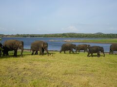 ミネリヤ国立公園