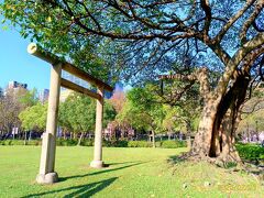 ガイドさんが迎えに来るまで少し時間があったので、ホテルから数百メートル歩いて「康楽公園」という公園にやってきました。
朝散歩している地元の人達で賑わっていましたね。

しかも公園内には神社の鳥居が！
日本が統治していた時代の名残でしょうか。