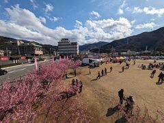 バス停の目の前にある松原公園では土肥桜まつりのイベントが開催されていました。