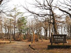   雪降る前の「小国森林公園」 (  https://www.ogurin-park.com/  )を散策しました。