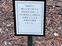 ようやく大杉権現社に到着したのに残念な案内板