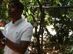 途中、マータレーでスパイスガーデンを見学しました