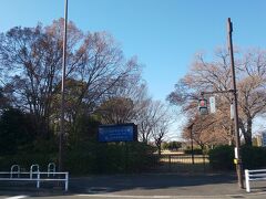 昭和記念公園。

芝生があってきもちよい公園。昭和天皇在位50年を記念した公園です。