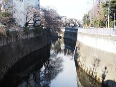 窓の下には神田川～

神田川の源は三鷹市井の頭恩賜公園内にある井の頭池らしい。
奥多摩あたりかと思っていたが・・・