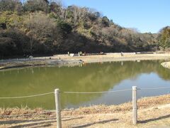 永福寺跡　瑞泉寺から西へ5分程行った処にあります。国指定史跡です。源頼朝が奥州藤原氏を滅ぼした後、源義経、藤原泰衡、数万人の将兵の鎮魂のために、中尊寺の二階堂（大長寿院）を模倣した大伽藍の永福寺を建てました。発掘調査の結果、阿弥陀堂、二階堂（二階建てから二階堂と言われる）、薬師堂、池、橋、庭園の配置が明らかになり、盛土をして遺跡を保護し、その上に基壇、礎石を再現しています