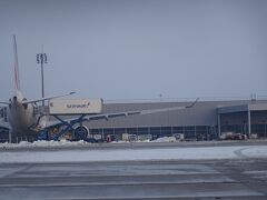 雪のシャルルドゴール空港