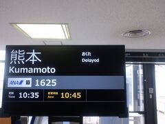 1月27日(土)
　おはようございます。荷物も少ないので、伊丹空港までは自転車です。普段よりも朝はゆっくり目でした。マイレージで予約した特典航空券のANA1625便でまずは熊本まで行きます。