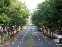 06:05-06:30　表参道ケヤキ並木