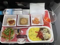 JAL羽田発デリー行き 機内食
カレーを見て、なんでカレーにしたのかと…
イヤってほどカレーが待っているのに

ハーゲンダッツがある↑