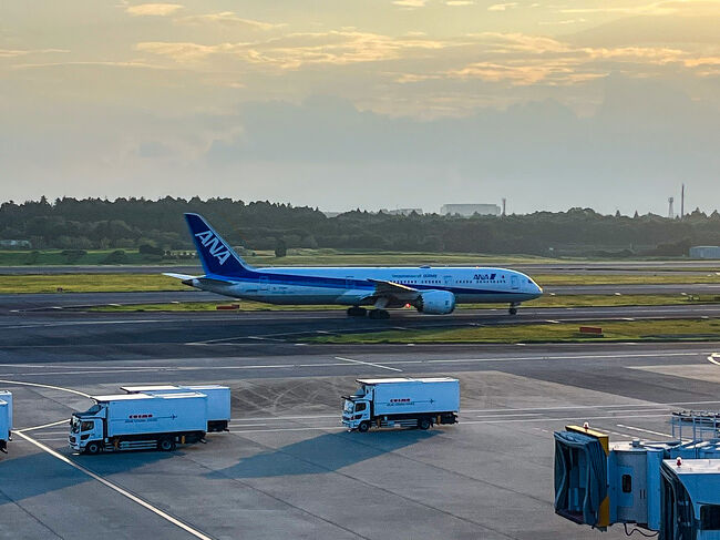 ANA「フライングホヌ」で行く真夏のハワイ① NH184便でハワイへ
