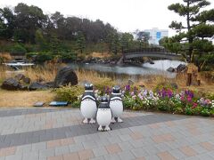 大井町駅から無料のシャトルバスで、「しながわ水族館」へ。
バス停から水族館へと向かう途中に、ペンギンのフォトスポットがありました。
可愛い♪