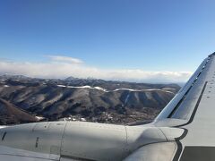 青森は雪で街全体が真っ白でしたが、函館は思ったより雪が少なくてびっくりでした。道路もアスファルトが見えていました。