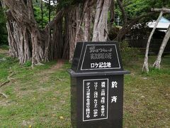 瀬相港から南に1キロ強下った場所にあり、海岸線沿いを歩いていくと大きなガジュマルが現れます！面白いのはロープが垂れ下がっており、つかまって揺らして遊べました。ガジュマルからは何本も地上に根が伸びてました。