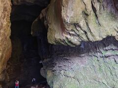 伊尾木洞窟
伊尾木洞”は海底が隆起してできた地層が、谷筋を流れる水で浸食してできた洞窟です。一年を通して気温が20度前後に保たれて、数多くのシダが群生しています。