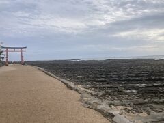 鳥居が見えてきた。