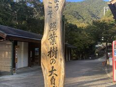 照葉樹林文化館