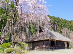 お次は高麗神社の隣りにある国指定重要文化財『高麗家住宅』へ。
高麗家住宅はかつて高麗神社の神主さんの住まいだったそうです。