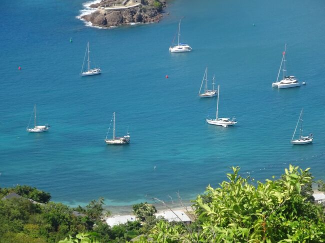 （シャーリー・ハイツ要塞からの眺め）イングリッシュ・ハーバーの多くのヨット