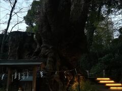 そのあとはさらに、市役所へまわって、母のいろんな諸々の手続きに所要３時間ほど・・

すっかり夕方になってしまい、

時間ぎりぎりに来宮神社へ駈け込んで、初詣を済ませ