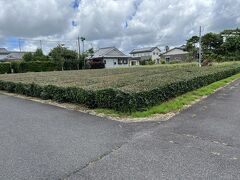 公園以外のところは今は住宅地になっていて、茶畑もありました。

かつては教育隊の兵舎や講堂、食堂、飛行場関連施設などがありました。
