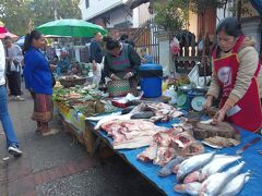 内陸国だから海魚はない。鯉の一種らしい大きな魚が目立つ。それをラオスマダムが大きな包丁でバンバンぶった切っている
朝市の周辺には冷蔵庫も見当たらない。生鮮食品は早いところ食べちゃうんだろう