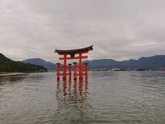 鳥居も復活して元の活気に