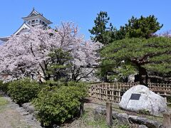 ●豊公園

博物館を出て、引き続き「長浜城跡」に整備された「豊公園（ほうこうえん）」を散策していくことに。
といっても、もちろん咲き誇る桜がメインになりますが♪