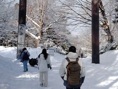 「北海道神宮」の鳥居です。
明治2年当時に「蝦夷地」等と呼ばれていた北海道は、日本の国土としてより明確にする為に、「北海道」と名づけられたそうです。
