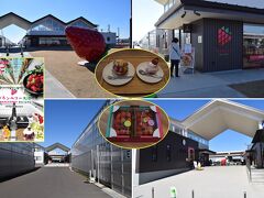 常総ICで圏央道を退出し道の駅常総に隣接したグランベリー大地を訪れました。道の駅からでも徒歩圏ですが、こちらにも広い駐車場があるので直接駐車場に入りました。いちご狩りのトップシーズンで月曜日でもあり、日曜日に盛況だったらしく店頭に並ぶいちごは少ないし、いちご狩りも休業していました。新設の農場で空中栽培の大きなハウスが並び景観は新鮮です。店内ではスイーツ類が飲食できるし豪華パフェに挑戦していたカップルがいました。我々は軽いスイーツを賞味しイチゴパックを土産に購入しました。