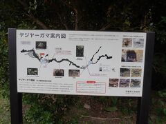 久米島 ヤジャーガマ洞窟
ナビにはなかったのですが、久米島ガイドマップに掲載されており、たまたま案内看板を見つけたので立ち寄りました。