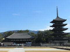 写真左の建物が国宝「興福寺 東金堂」で本堂の「中金堂」の東にあることから「東金堂」と呼ばれています。ご本尊の薬師如来坐像をはじめ「十二神将立像」や「四天王立像」など多くの国宝や重要文化財に指定されている仏像が安置されています。