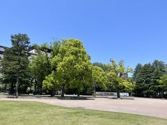 いしかわ四高記念公園。