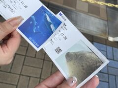 次の日はゆっくりめに起床。

朝ご飯のビュッフェで肉を5皿食べるという、何年か先には出来なくなってそうな蛮行を終えてチェックアウト。(これが原因かは分からないが、私は数日後に胃を悪くした)

お互い道頓堀も大阪城も行ったことがあったので、敢えて海遊館に行ってみることに。
レジャー施設まみれの旅である。