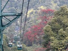 宮島ロープウエー(広島観光開発)