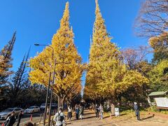 豊川稲荷東京別院を出て徒歩20分弱。
明治神宮外苑いちょう並木に到着。
いちょう並木の木が高くて、黄色いいちょうの葉が茂っていて立派です。
ここを散策します。