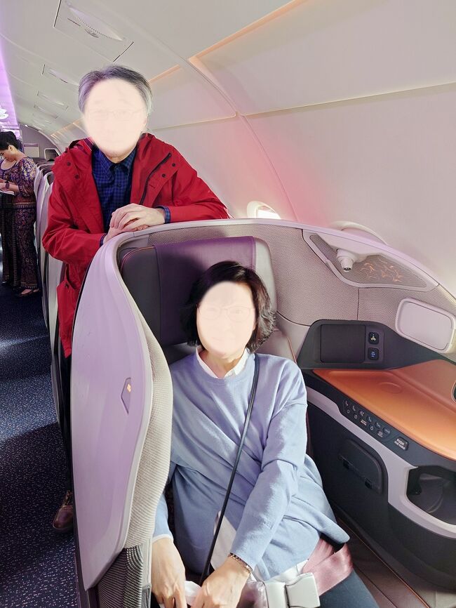 ripiさん用! シンガポール航空／+オレンジほぬ ripiさん用! シンガポール航空／+オレンジほぬ - メルカリ