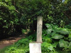 「しむじょう」のすぐ東側は末吉公園となっています。ここを入って行くと末吉宮跡へと行くことができるのですが、かなりうっそうとした森になっています。那覇市内とは思えぬほどのジャングルです。