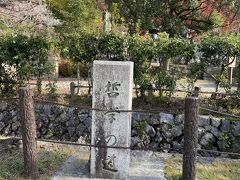 哲学の道を歩きます。