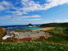 そして、やっとたどり着いた今回の旅行1番の目的地、爪木崎の水仙です！