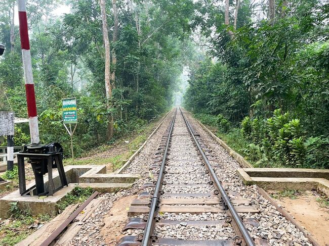 国立公園の中に線路が。<br />北方面はシレット、南方面はダッカやチッタゴンです。